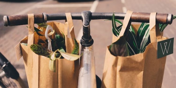 eco shopping eco shopping